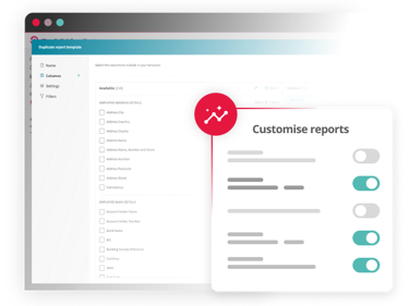 Payroll Software Report Example