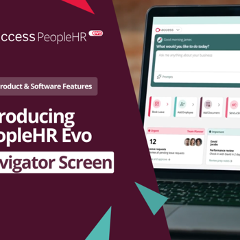 Video preview of the PeopleHR Navigator Screen