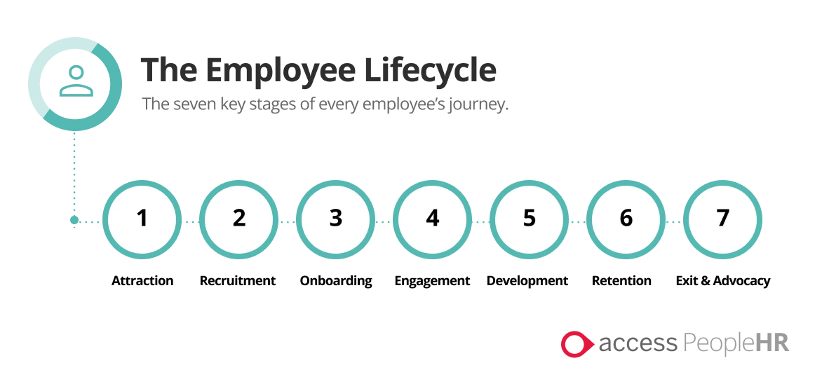 infographic of the employee lifecycle