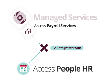 Graphic Explaining What Is Access Payroll Services